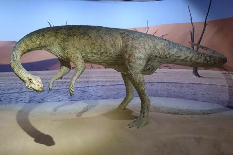 Палеонтологи нашли останки Huashanosaurus qini в формации Ванмэнь, возрастом 180 млн лет