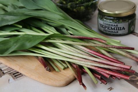 Родом с юга: свежая черемша уверенно завоевывает сердца красноярцев и полки магазинов