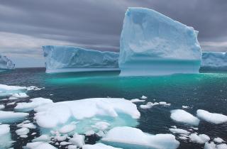 Состав микробных сообществ в арктических почвах зависит от уровня влажности — Бузер-Янг