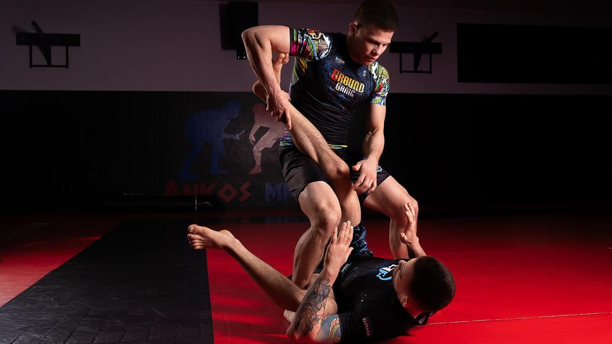 Бразильское джиу-джитсу