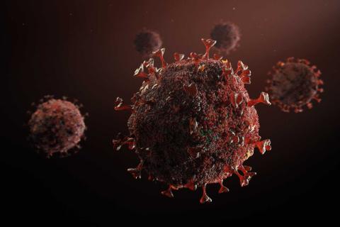 У 6% переболевших COVID-19 сохраняются долгосрочные симптомы — ВОЗ