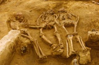 Археологи нашли останки рыцаря с краниосиностозом в Испании — URV