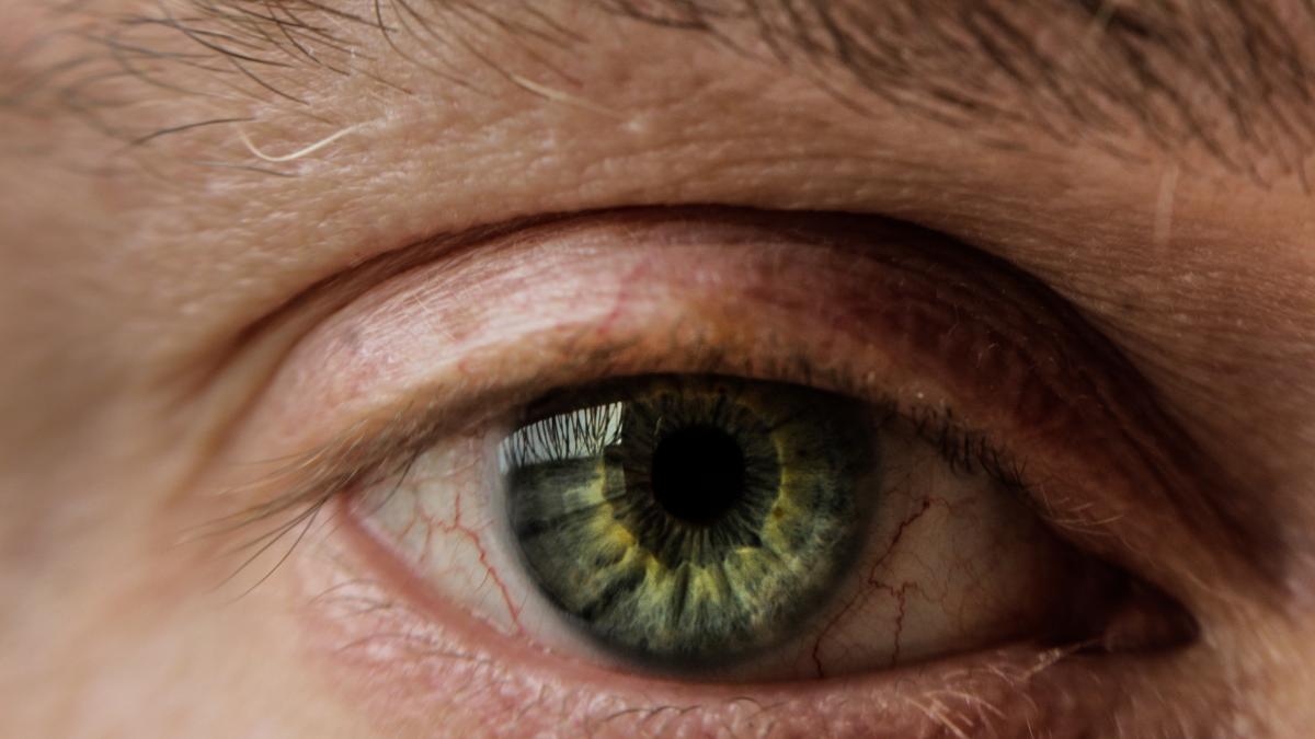 Human eye iris 1