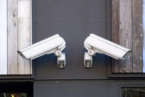 Искусственный интеллект подметает мусор: Ярославль запускает новую систему видеонаблюдения для города