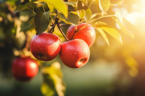 Диетологи назвали 8 продуктов, которые помогают предотвратить сердечные заболевания