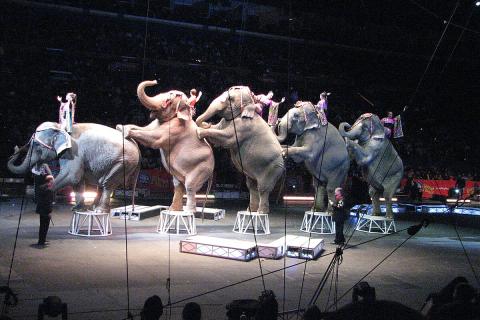 В Екатеринбурге цирк переживает масштабную реконструкцию, открытие в 2027 году — администрация