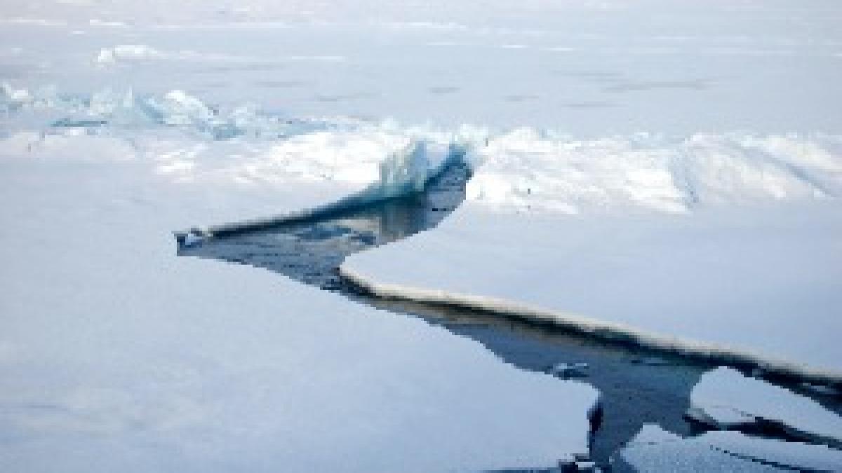 Arctic Ice3 Arctic Ice3
