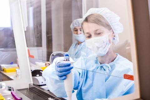 Сумина: разработаны экологичные катализаторы для переработки фурфурола из отходов деревообработки