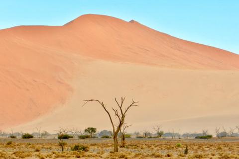 Пустыню Намиб признали самой древней на планете возрастом до 80 млн лет – YouTravel.me