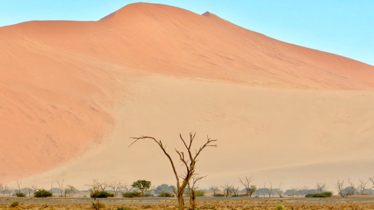 Пустыня Намиб