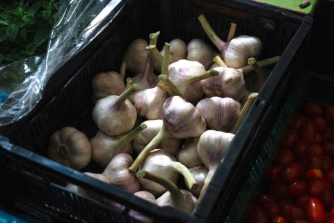 Оптимальная почва для чеснока: роль компоста и мульчирования