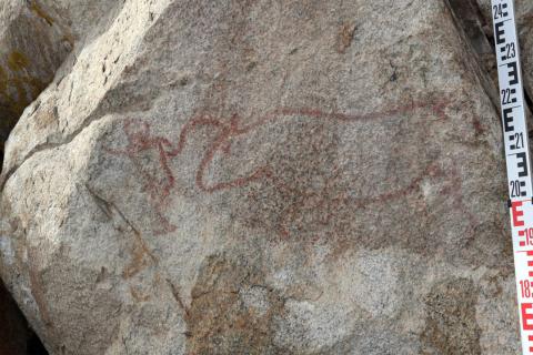 Алкан: в Турции обнаружены наскальные рисунки возрастом 12 000 лет под плотиной Ататюрка Алкан: в Турции обнаружены наскальные рисунки возрастом 12 000 лет под плотиной Ататюрка