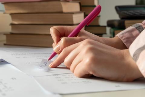 В России готовят предложения по изменению правил проверки русского языка у переселенцев