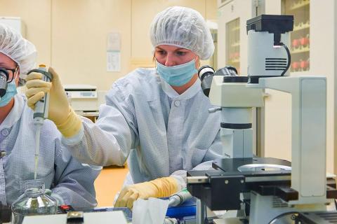 Правительство утвердило субсидии регионам на орфанные лекарства с 2026 года — РИА Новости