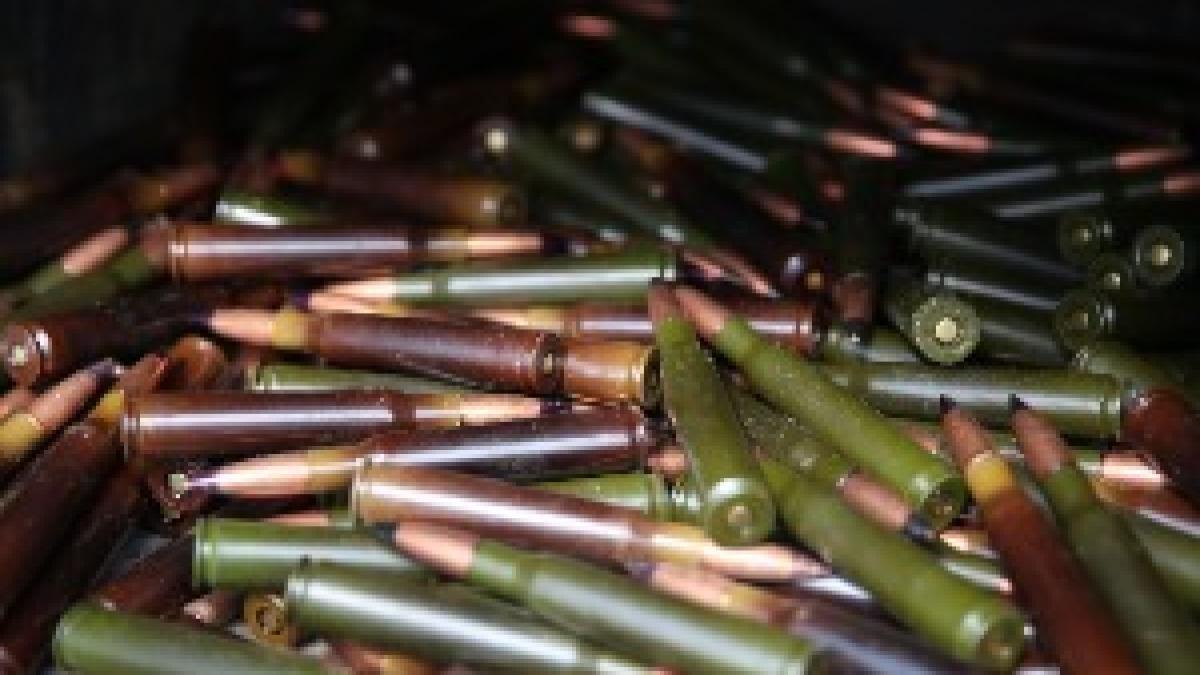 Small arms ammunition in the incinerator ready for destruction (22719384626)
