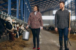 Свердловская область увеличит производство молока за счет строительства новых ферм