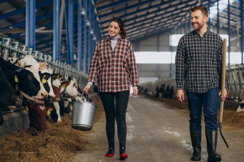 Свердловская область увеличит производство молока за счет строительства новых ферм