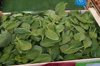 Семена шпината прорастают при +2 °C — растение переносит заморозки и даёт ранний урожай