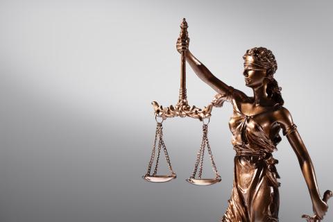В Краснодаре женщина отсудила у риелторов более 50 тысяч рублей за отказ искать жильё с котом
