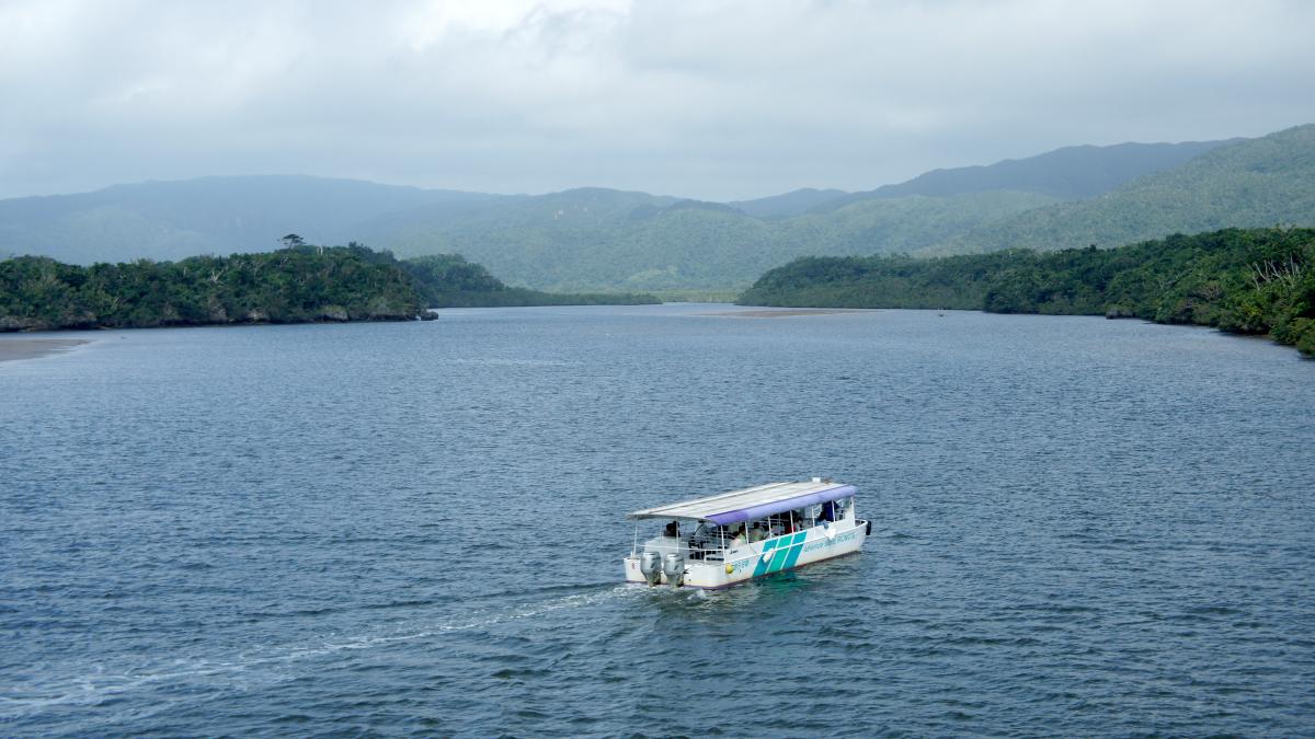 Река Накама, Ириомотэ, Окинава