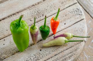 Учёные: острый перец успешно растёт в квартире при достаточном свете и тепле