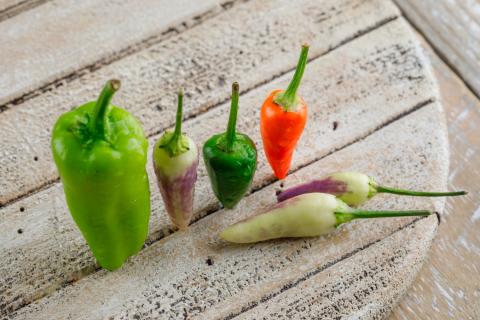 Учёные: острый перец успешно растёт в квартире при достаточном свете и тепле