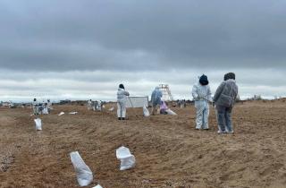 Очистку побережья Чёрного моря ускорили — правительство России