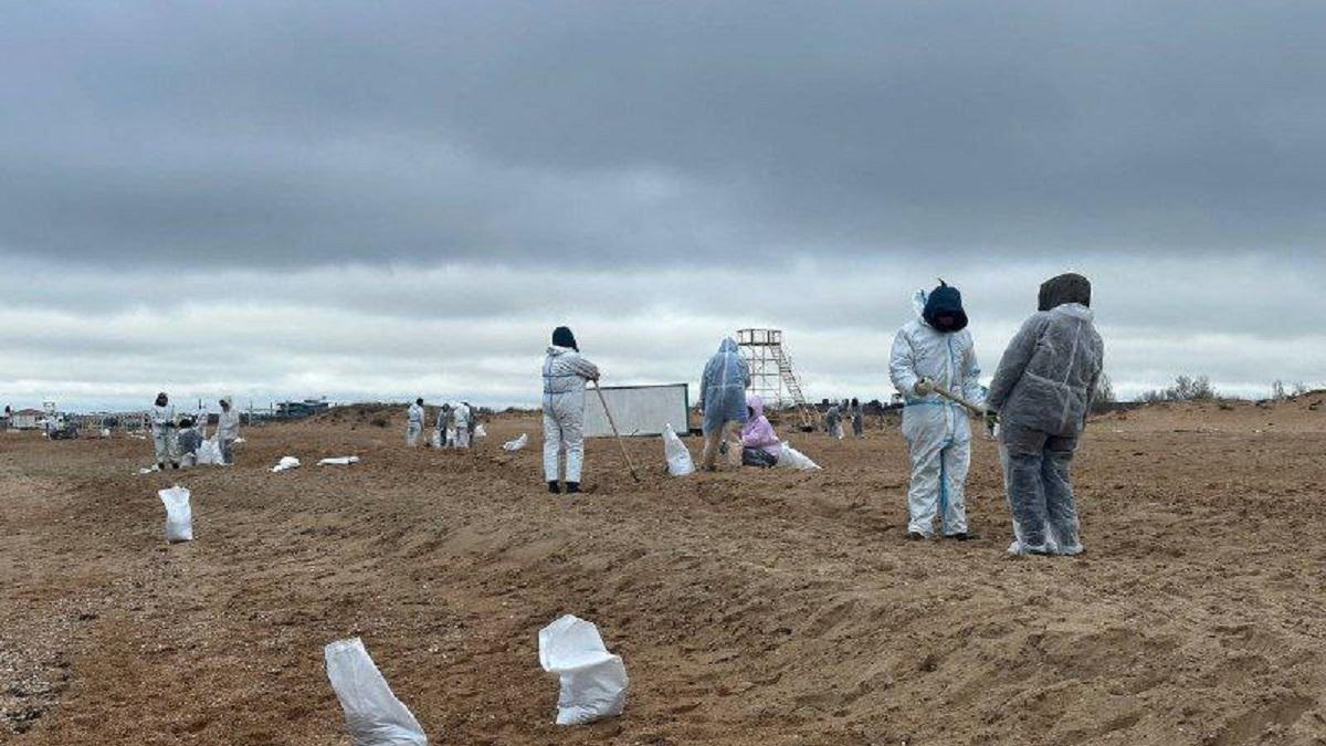 Сбор мазута