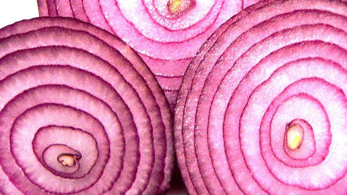 Красный лук