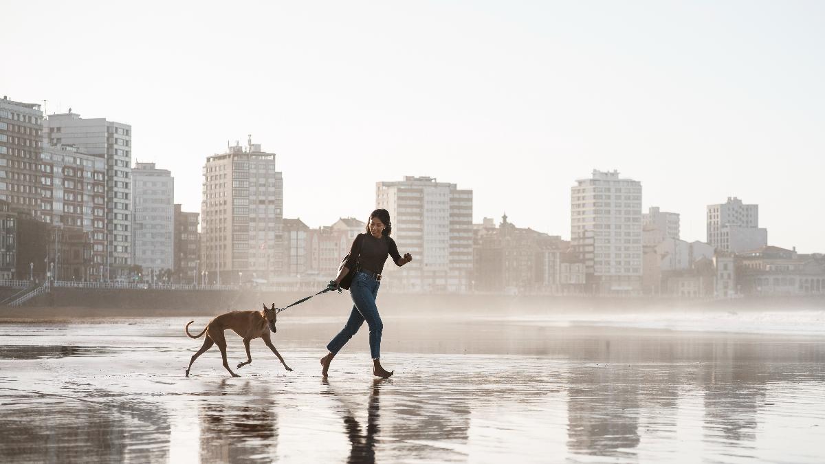 женщина гуляет с собакой после дождя