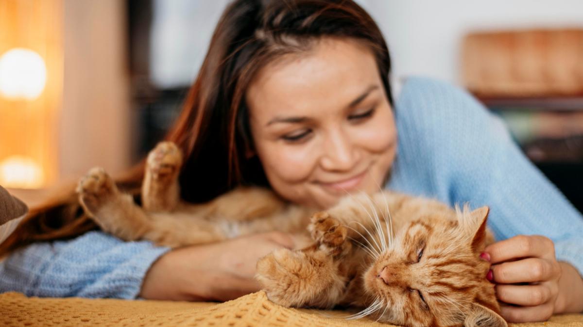 Кошка и хозяйка Кошка и хозяйка