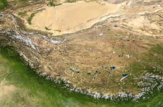 Там, где были только пески, появился углеродный щит: Китай озеленил край Такламакана