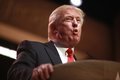 Трамп на днях огласит имя кандидата на пост вице-президента Трамп на днях огласит имя кандидата на пост вице-президента