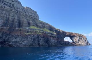 Кошачья колония стала частью аббатства Стаффарда — историк Мария Иванова