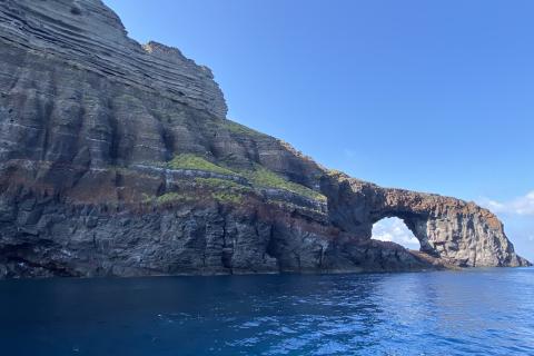 Кошачья колония стала частью аббатства Стаффарда — историк Мария Иванова