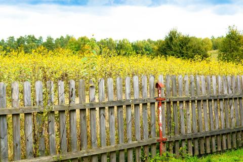 Гниение деревянных столбов вызывает наклон забора — по данным строителей