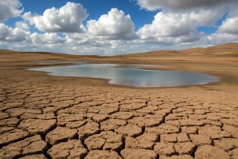 Science Advances: с 2002 года площадь засушливых земель ежегодно удваивается, превышая размер Калифорнии