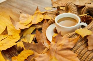 Молочные добавки превращают кофе в высококалорийный напиток — диетологи