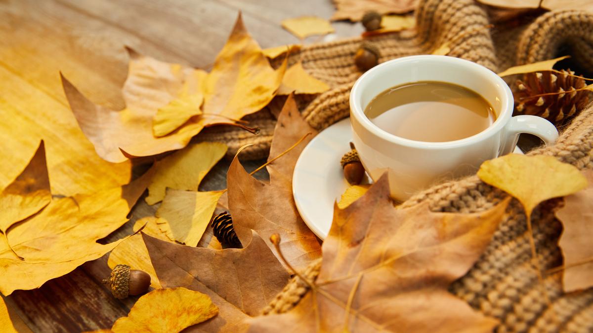 Осенние листья и чашка кофе