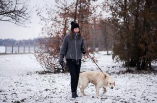 Дайте собаке возможность исследовать мир: почему прогулка должна быть не только физической активностью