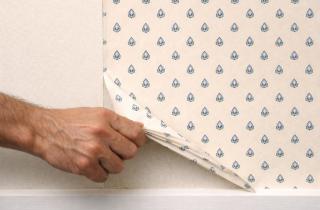 Четыре способа позволили снять обои без повреждения стен — The Spruce