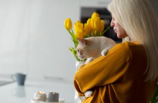 Красота со вкусом яда: весенние первоцветы превращают домашний уют в опасную ловушку для кошек