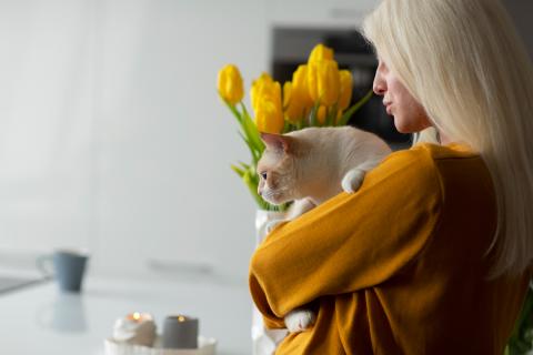 Красота со вкусом яда: весенние первоцветы превращают домашний уют в опасную ловушку для кошек