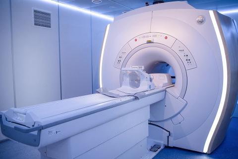 Учёные БФУ и ИХТУ создали безопасный контраст для магнитно-резонансной томографии — Марк Смирнов