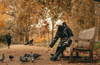 Пять парков Перми ждет комплексное содержание с апреля по октябрь — МАУК Пермьпарк