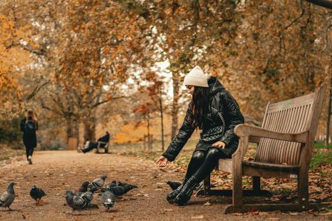 Пять парков Перми ждет комплексное содержание с апреля по октябрь — МАУК Пермьпарк