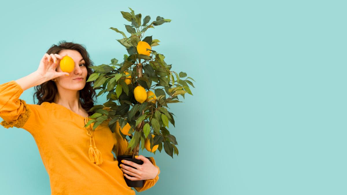 Девушка с цитрусовым деревом