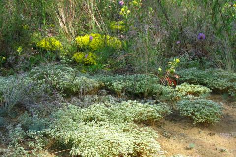 Укладка дренажа для альпийской горки предотвращает застой воды — рекомендации специалистов