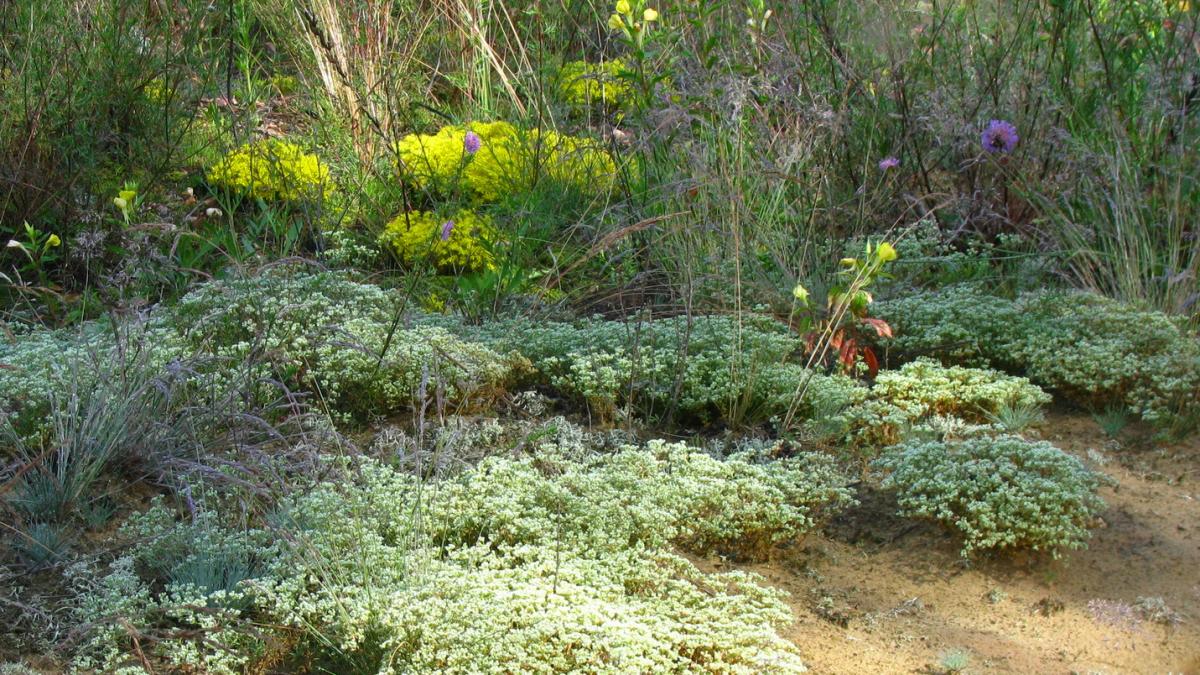 Природная альпийская горка