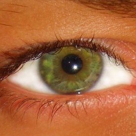 Ученые разрабатывают новые методы восстановления зрения